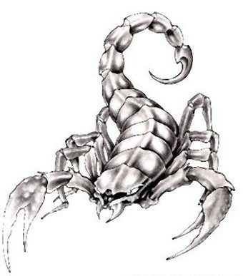 Scorpion Tattoo design