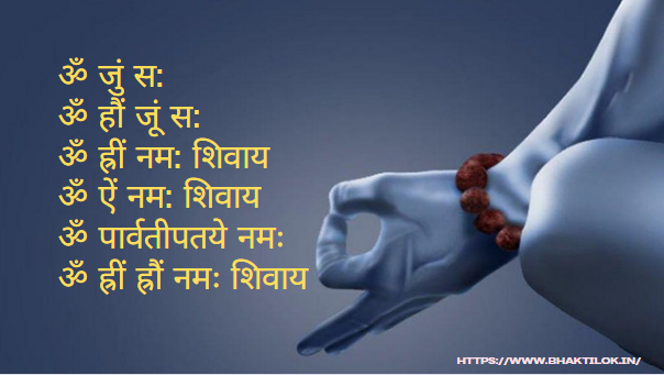 भगवान शिव के अन्य उपासना मंत्र ( Bhagawan shiv Ke Any Upasana Mantra )  : –