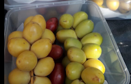 21 Keren Jual Celana Sepeda Di Karawang
