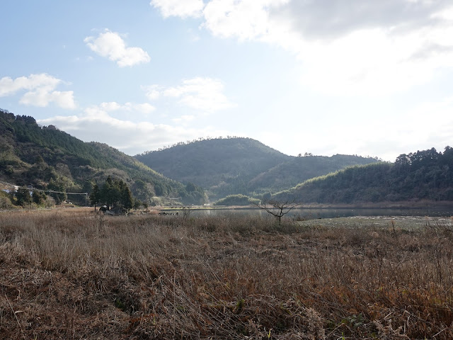 湯梨浜町宮内（県道234号東郷羽合線）からの眺望