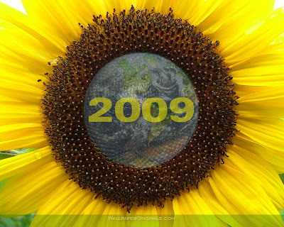 beautyfull wallpaper. Sun flower 2009 themes wallpaper (graphicfreebies)