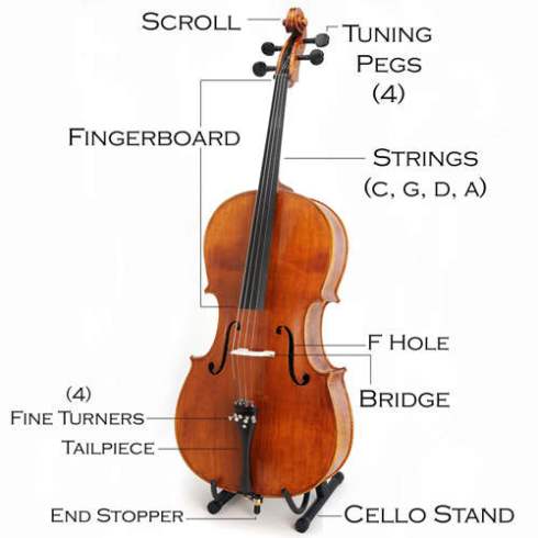  Alat  Musik  Cello Dari Italia Berbagi Informasi
