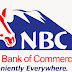 Nafasi ya kazi National Bank of Commerce (NBC) Job opportunity Msimamizi: Uchambuzi wa Mikopo katika NBC