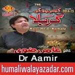 http://www.humaliwalayazadar.com/2014/10/dr-amir-rizvi-nohay-2015.html