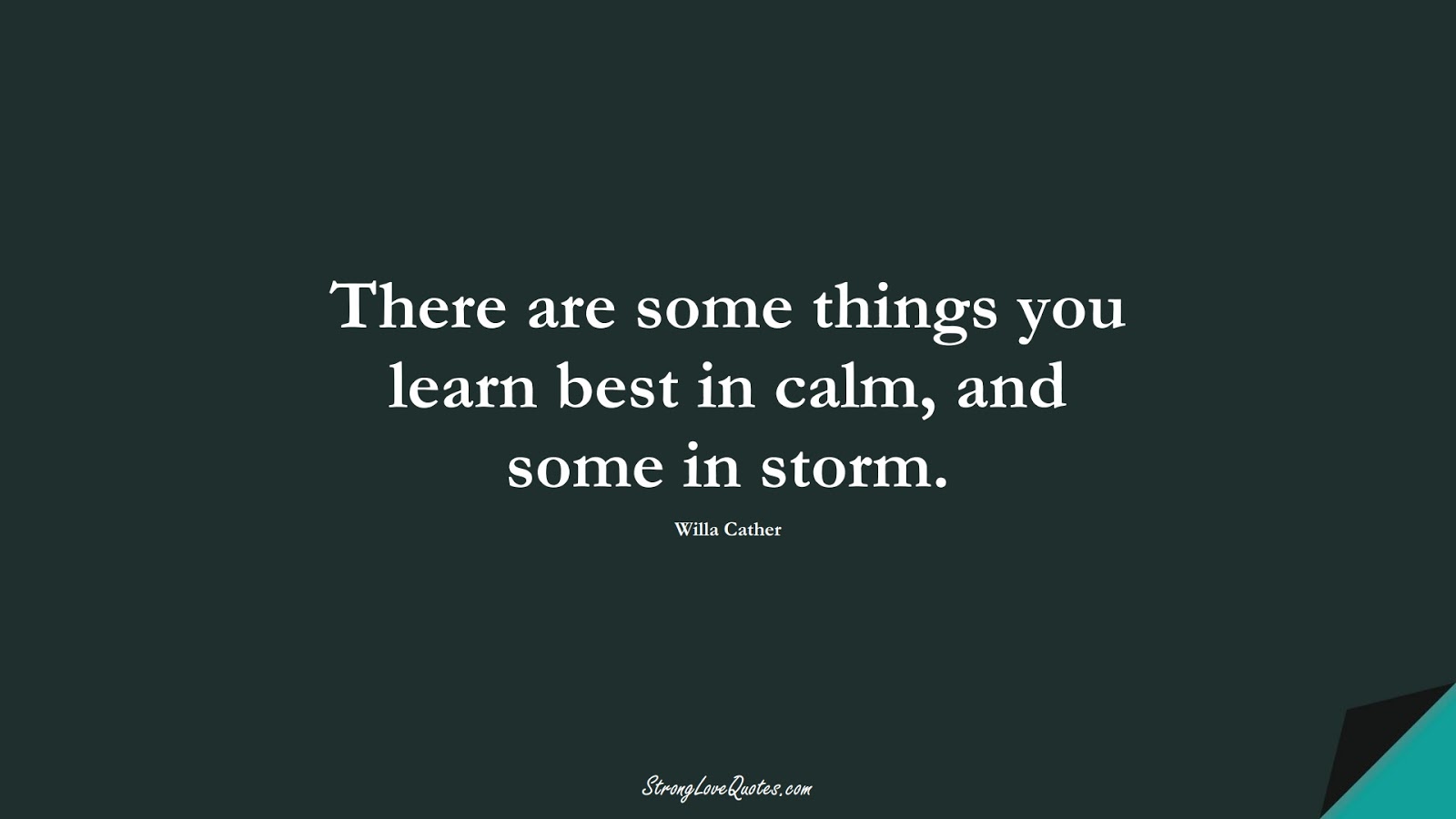 There are some things you learn best in calm, and some in storm. (Willa Cather);  #EducationQuotes