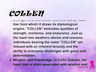 ▷ meaning of the name COLLEN