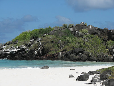 Beach Landscape