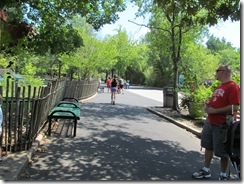 zoo 091