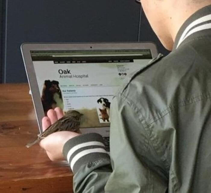 30 Heartwarming Photos That Restored Our Faith In Humanity - Was Reading At A Coffee Shop And Saw This Guy Looking Up Vet Services For An Injured Sparrow He Had Just Found