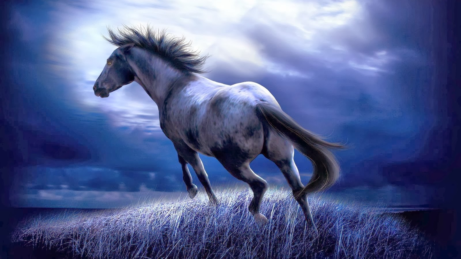  Horse  HD  Wallpapers  Fun Animals Wiki Videos Pictures 