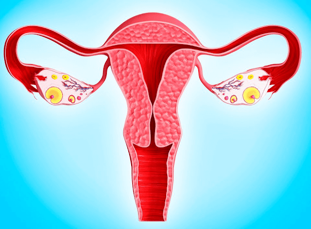 ovarian-cancer-end-stage