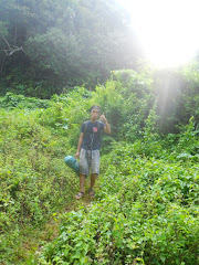 kawasan osmena traverse