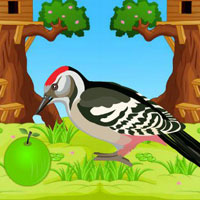 Play BIG Escape From Parrot Ju…