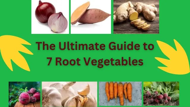 The Ultimate Guide to 7 Root Vegetables