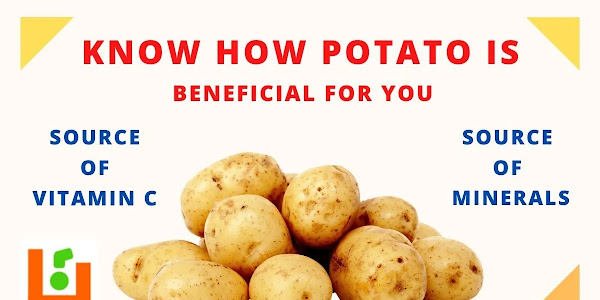 Potato Benefits | Potato Rich Source of Vitamin C and Minerals