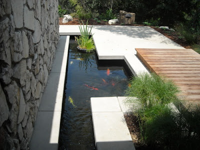 10 Fish Pond Minimalist Design