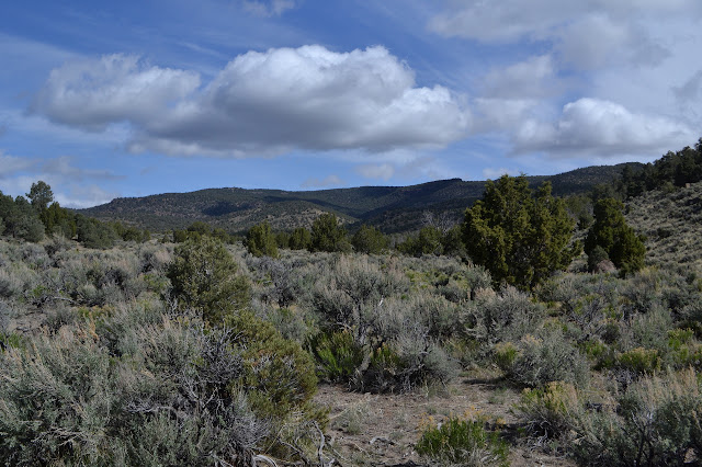 flat and full of sage brush