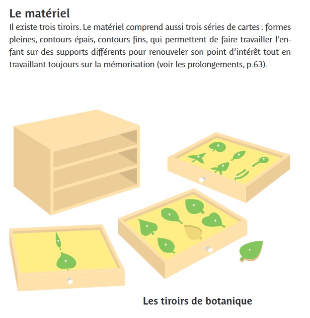 Les tiroirs de botanique - Montessori pas à pas les sciences 3-6 ans