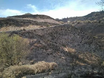 El incendio de la cumbre de Gran Canaria pudo ser intencionado