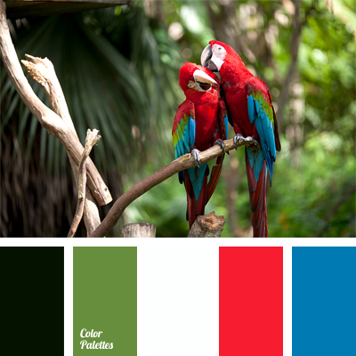 Tropical Color Palette Color Palette