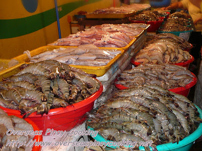 All sizes of Prawns and Shrimps