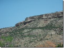 DSCN4955