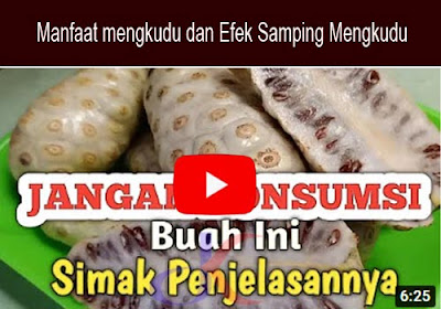 https://keranjangkesehatan.gankoko.com/2021/09/berbagai-efek-samping-mengkudu.html