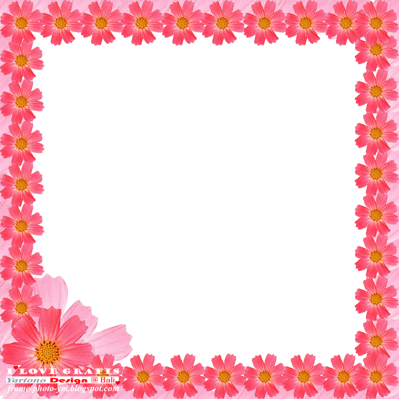 041 - RED FLOWER FRAME - FREE DOWNLOAD FRAME PHOTO /UNDUH 