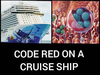 code red Noro virus cruise ship treatment medicine Deasease