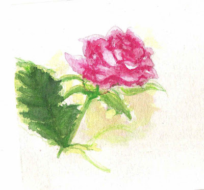 thorns and roses drawings. Katia zhukova, thorns
