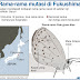 Rama-rama cacat di Fukushima