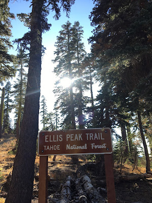 Ellis Peak trailhead sign in front of conifer forest