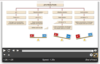 active concept map still image