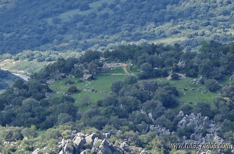 El Cintillo - Sierra Baja de Ubrique - Paso del Bombo - Ubrique - Cañada de los Pernales