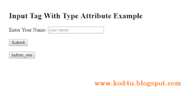 HTML Input Tag With Submit Example
