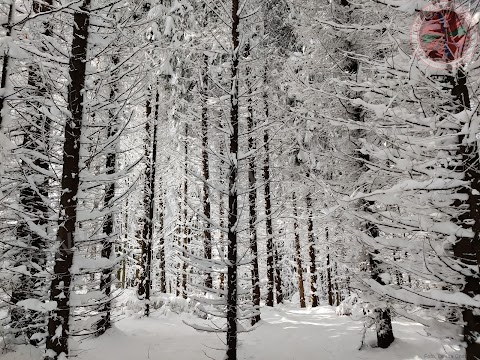 Winter landscapes from Ținutul Padurenilor Romania