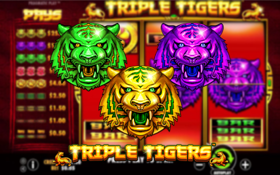 Slotxo Triple Tigers