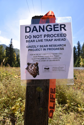 Trans Canada Trail bear trap.