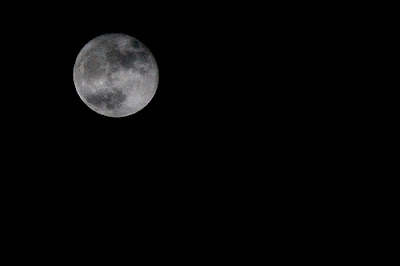 Oh you'll never see my shade or hear the sound of my feet while there's a moon over Bourbon Street 