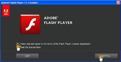 Adobe Flash Player 11.3.300.257 Final