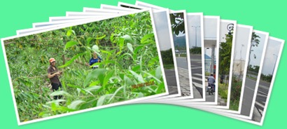 View album