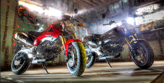 2014 Honda Grom available from Southern Honda Powersports