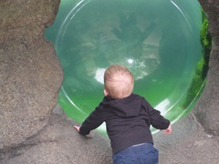IMG_6230 IMG_6230