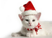 xmas catty wallpaper