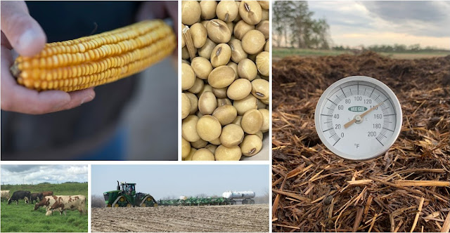 collage of corn, tractor, cattle, soybean, and thermometer