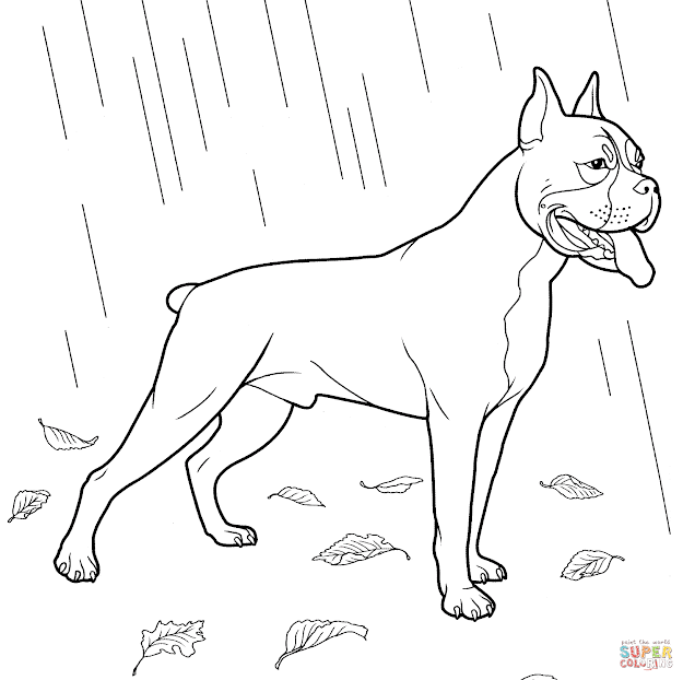 Click The Boxer Dog Coloring 