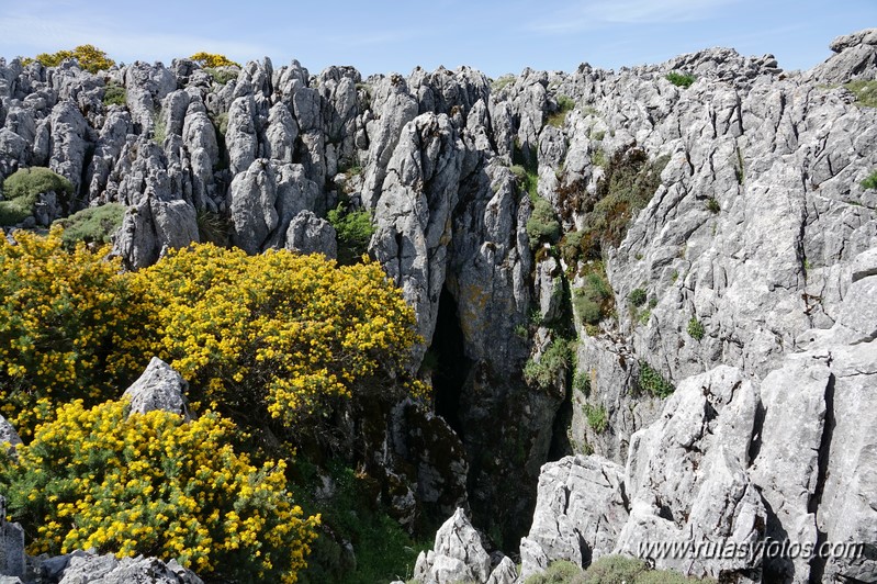 Nueve picos de la Sierra del Endrinal