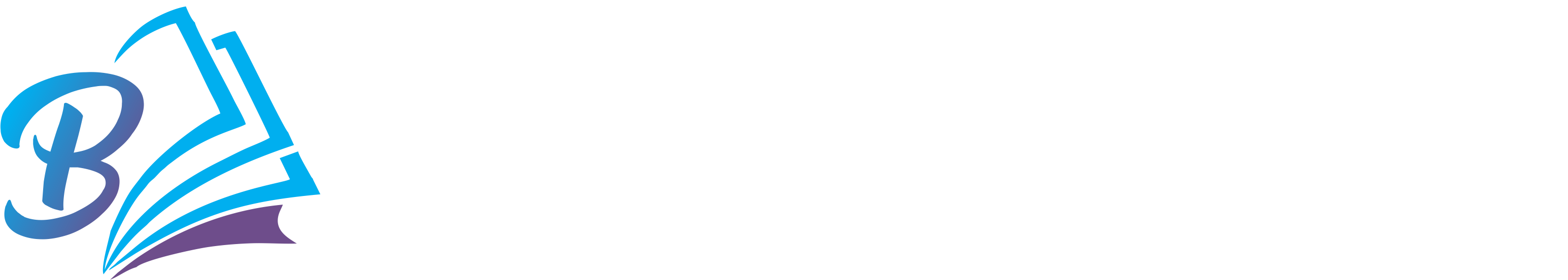 BACABARU.COM