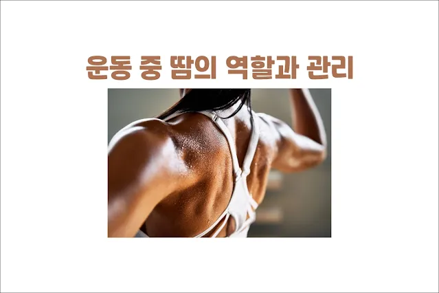 운동-중-땀의-역할과-관리