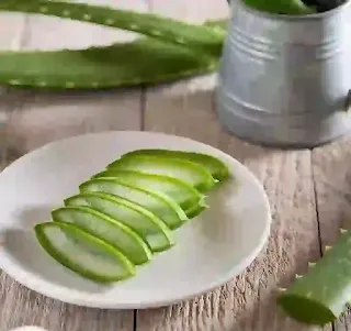 Manfaat lidah buaya untuk solusi kecantikan